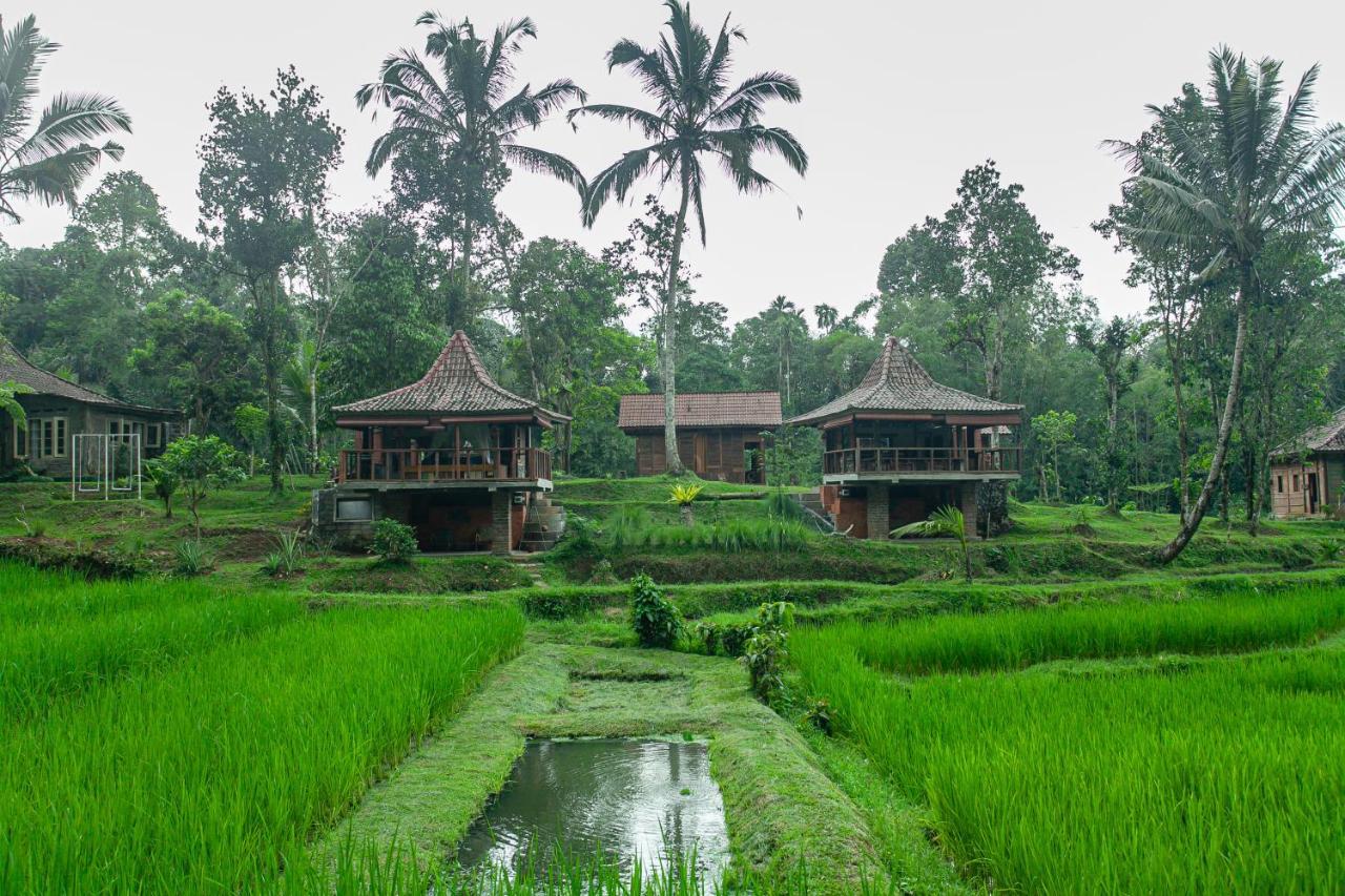 Tepi Sawah Lodge & Retreat Jatiluwih Extérieur photo